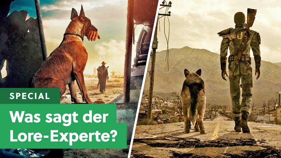 Teaserbild für Fallout zwischen mutig und lieblos: Das sagt der größte deutsche Experte zur Serie