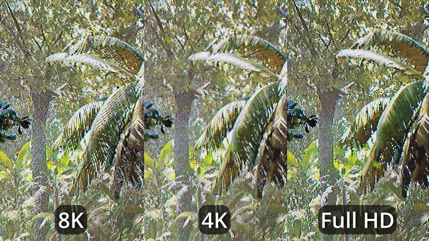 8K gegen 4K und Full HD - Sieht man in Shadow of the Tomb Raider einen Unterschied?
