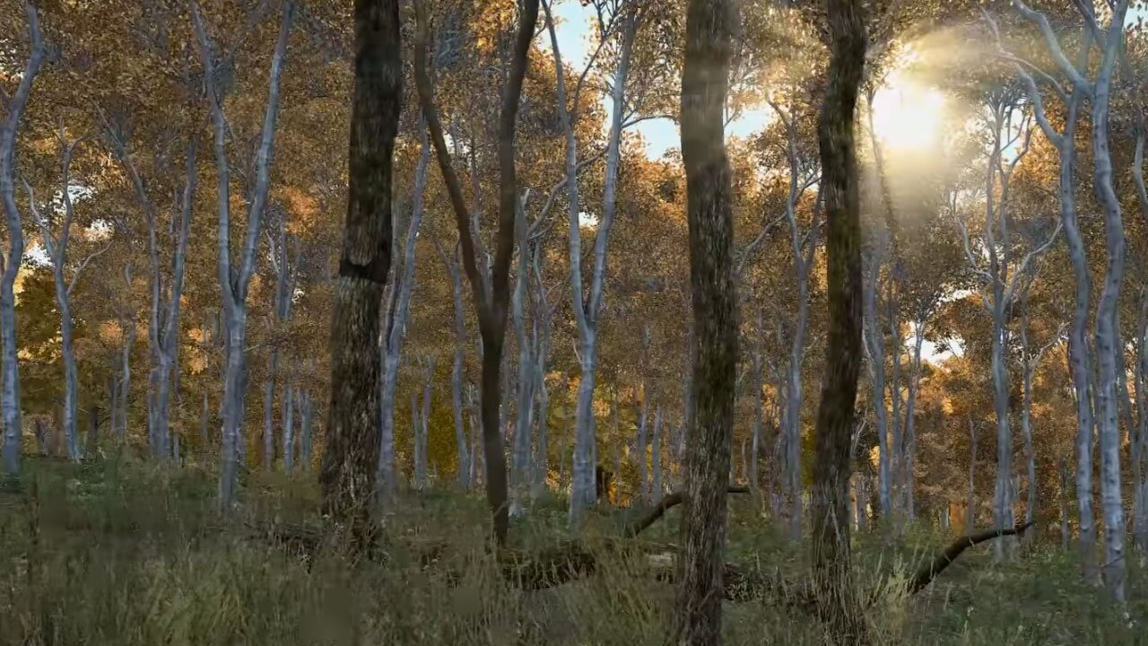 DayZ - Early-Preview-Video zeigt die hübsche Natur