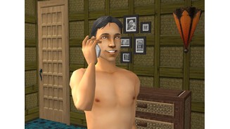 Die Sims Lebensgeschichten 5