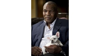 Hangover 2Dafür wieder dabei: Mike Tyson...