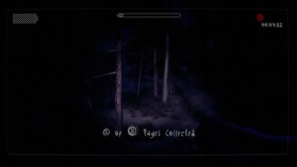 Slender: The ArrivalHin und wieder stoße ich kleinere Hütten, die ich allerdings nicht betreten kann. Schade!