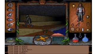 Ultima Underworld (1992)Ultima Underworld verwendete für Charaktere zwar noch 2D-Sprites, doch die Umgebung war dreidimensional aus Polygonen modelliert und erstmals mit Texturen versehen.