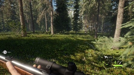 theHunter - Eine Jagd