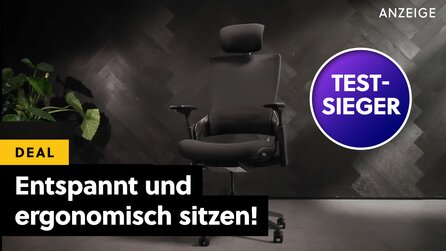 SO geht Ergonomie: In der Preisklasse unter 500€ empfehlen wir diesen ergonomischen Bürostuhl - und er kostet viel weniger!