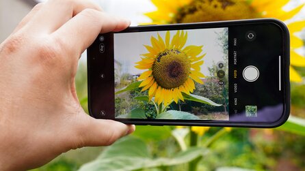 Teaserbild für iOS 16 bietet viele neue Foto-Funktionen, aber eine hat es mir besonders angetan