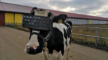 Virtuelle Realität für Kühe - Matrix-Wiesen für mehr Milch