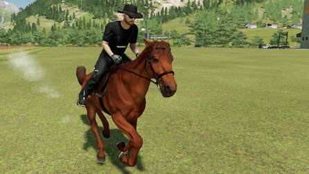 Landwirtschafts-Simulator 22 Guide: So macht ihr Gewinn durch Pferdehaltung
