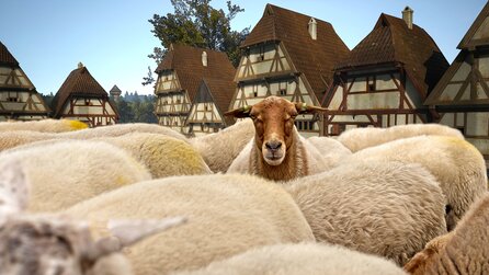 Teaserbild für Manor Lords: Spieler verzweifelt an einer Schafherde, die einfach nicht aufhört zu wachsen