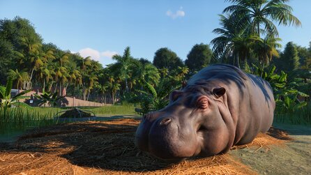 Planet Zoo - Erster Trailer zum bislang schönsten Zoo-Aufbauspiel