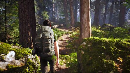 Survivalspiel Rooted protzt mit realistischer Natur-Simulation in der Unreal Engine 5