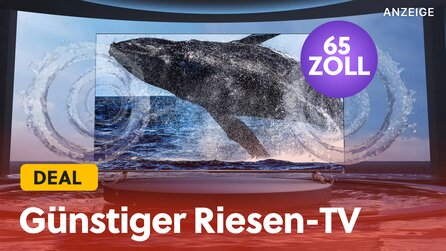 Teaserbild für Riesen-TV zum Mini-Preis: Einen 65 Zoll großen 4K UHD Smart TV bekommt ihr jetzt schon weit unter 600€!