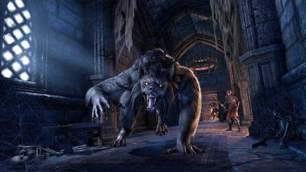 The Elder Scrolls Online: Wolfhunter - Die neuen Dungeons im Entwickler-Video