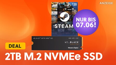 Steam Summer Sale: Die passende 2TB M.2 NVMe SSD mit 20€ Steam Guthaben gibt’s im Angebot zum Bestpreis