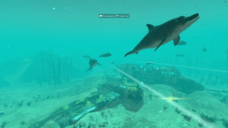World of Diving - Screenshots