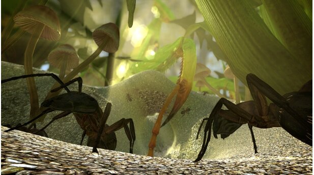 Ant Simulator