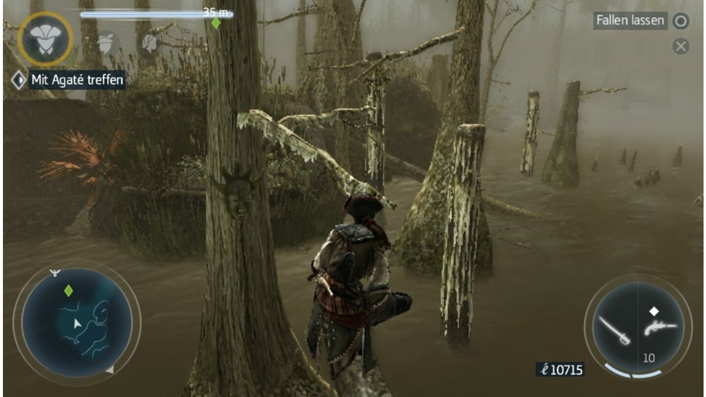 Assassin's Creed 3: LiberationDie Bayou-Sümpfe stecken voller Gefahren. Außerdem hält sich hier Agate, der Mentor von Aveline, versteckt.