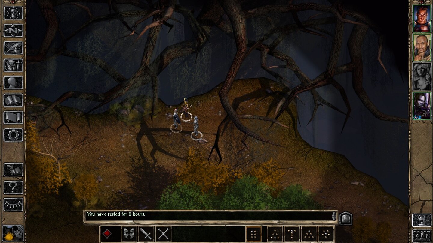 Baldur's Gate 2: Enhanced EditionIm Spiel wirken die neuen Landschaften weniger beeindruckend, Elemente wie dieser Baum sind zu leicht als detailarme 3D-Objekte zu erkennen.