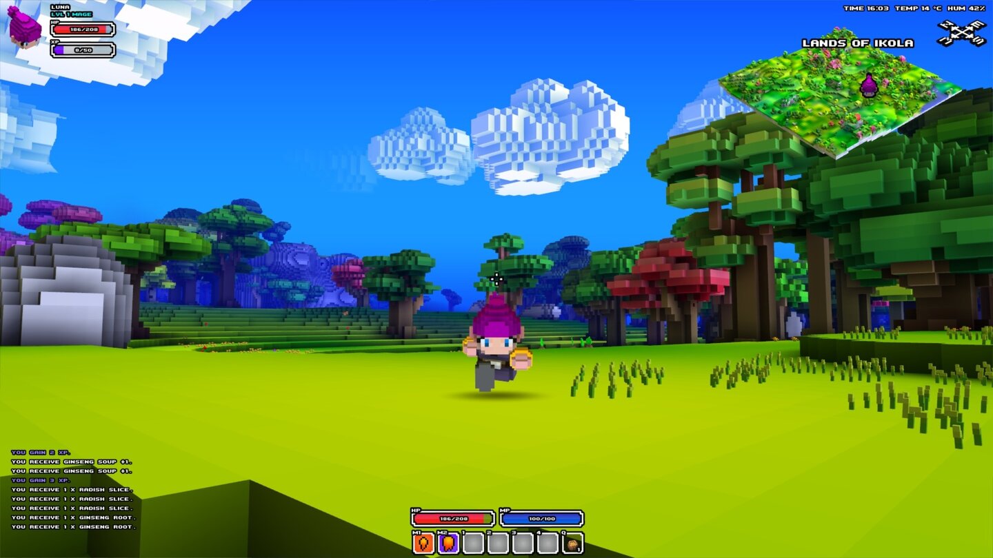 Cube World