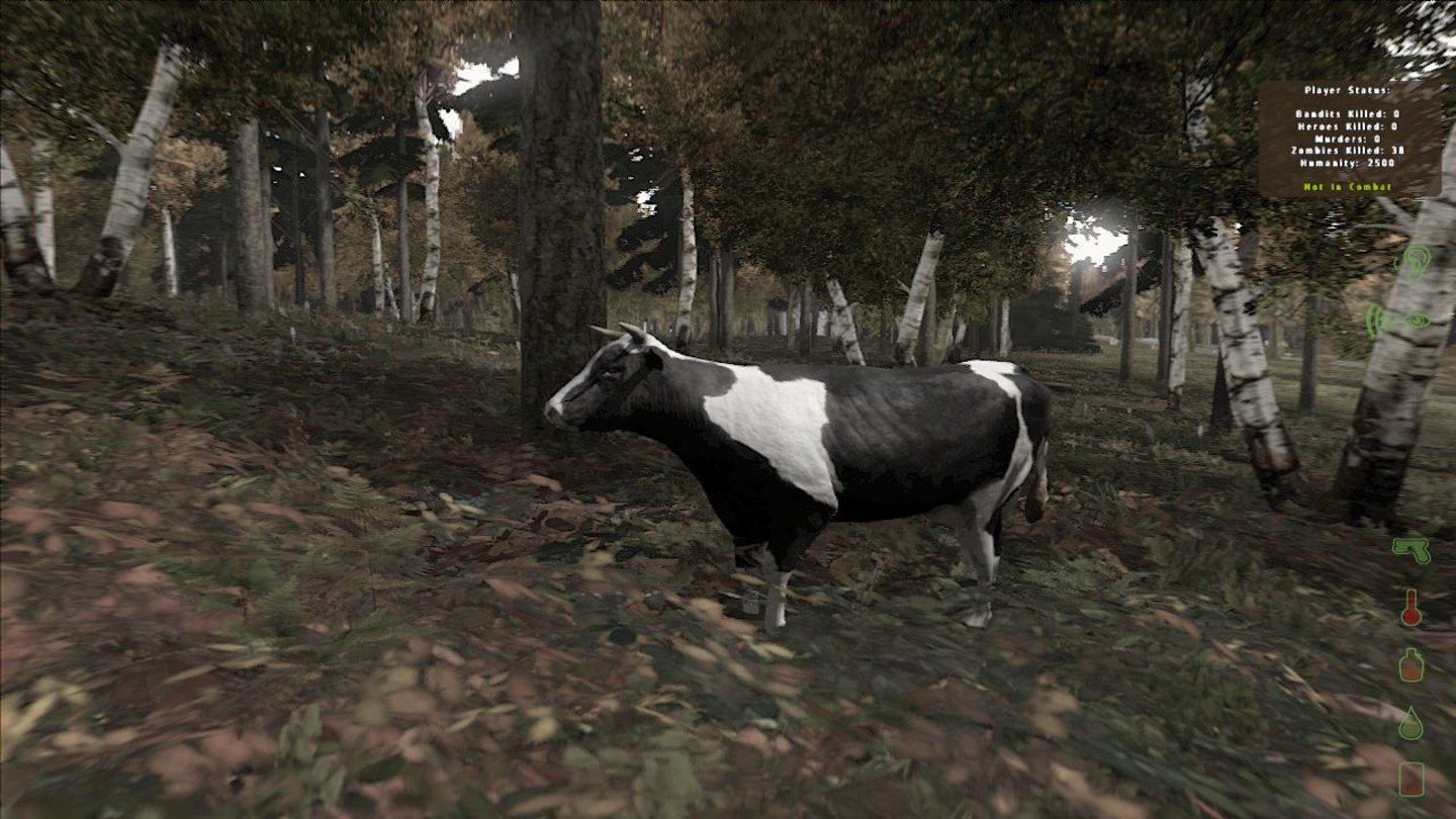Lecker RindAuch in DayZ Origins können wir Tiere erlegen, ausnehmen und danach verzehren.