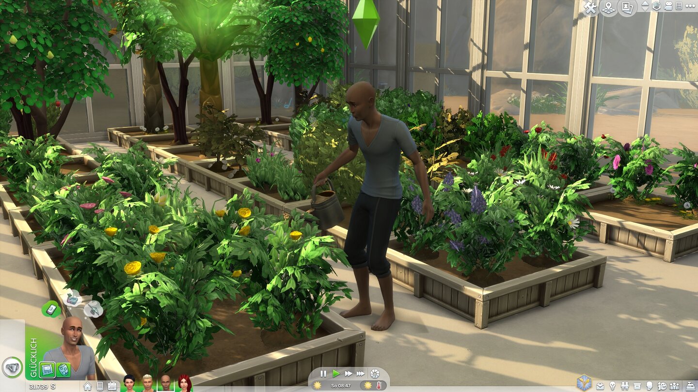 Die Sims 4: JahreszeitenIm Gewächshaus zieht ihr jahreszeitenunabhängig Blumen, Bäume und Gemüse.