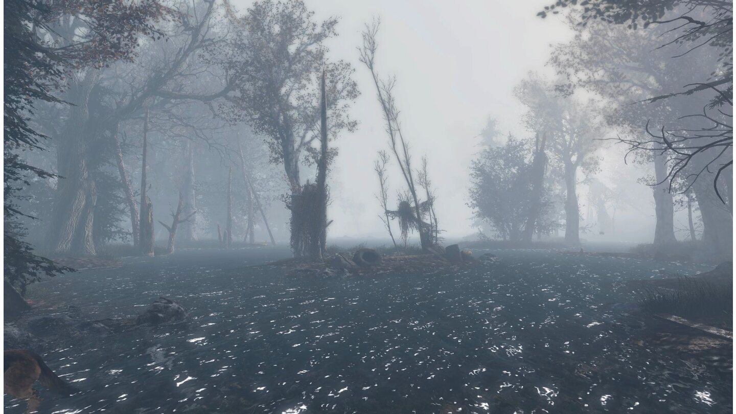 Die Mod Commonwealth Conifers Redux sorgt für eine grünere, lebendigere Landschaft in Fallout 4.