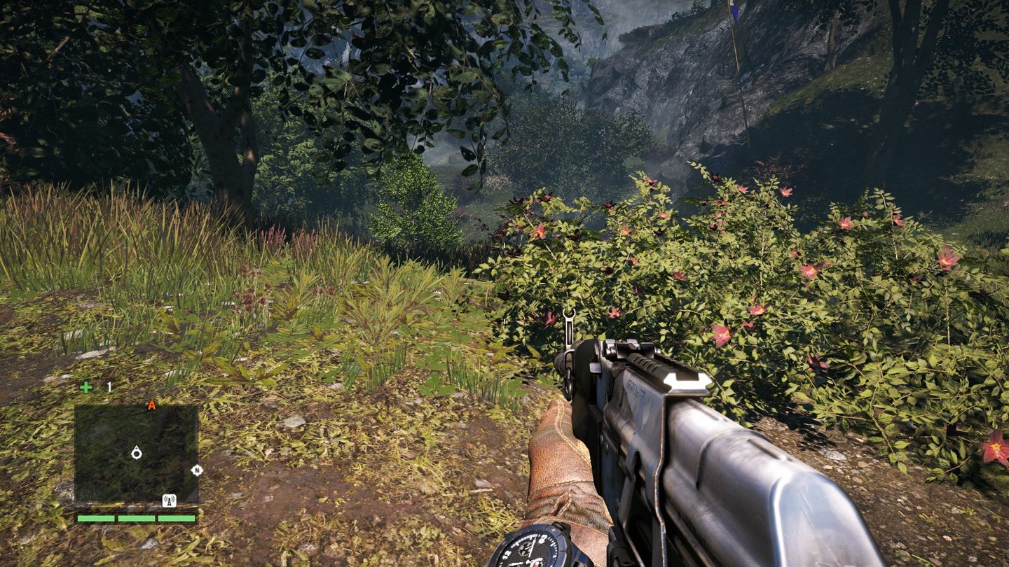 Far Cry 4 - Umgebungsverdeckung Aus