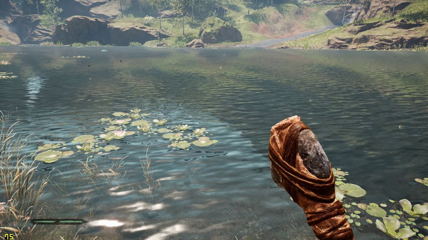 Far Cry Primal - Water 4_Low