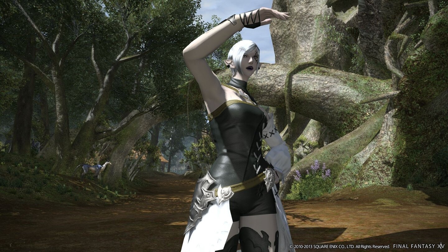 Final Fantasy 14 Online: A Realm Reborn