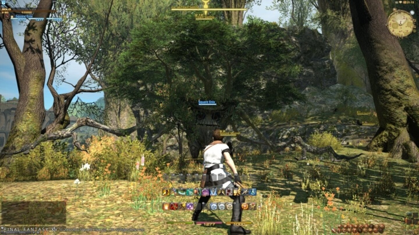 Final Fantasy 14 Online - Reborn-Screenshots