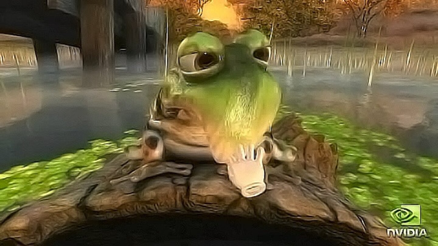 Froggy: Wer schon immer einmal an einem Frosch herumzerren wollte, kann dies mit der interaktiven Demo Froggy tun, die die Möglichkeiten der Unified-Shader-Architektur der GeForce-8-Karten eindrucksvoll präsentiert.