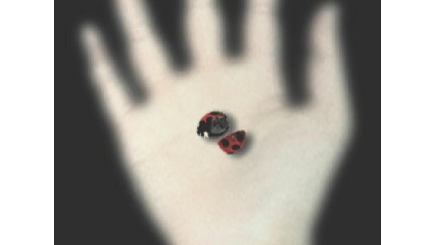 The opening movie has some odd visuals. This is one of a ladybug