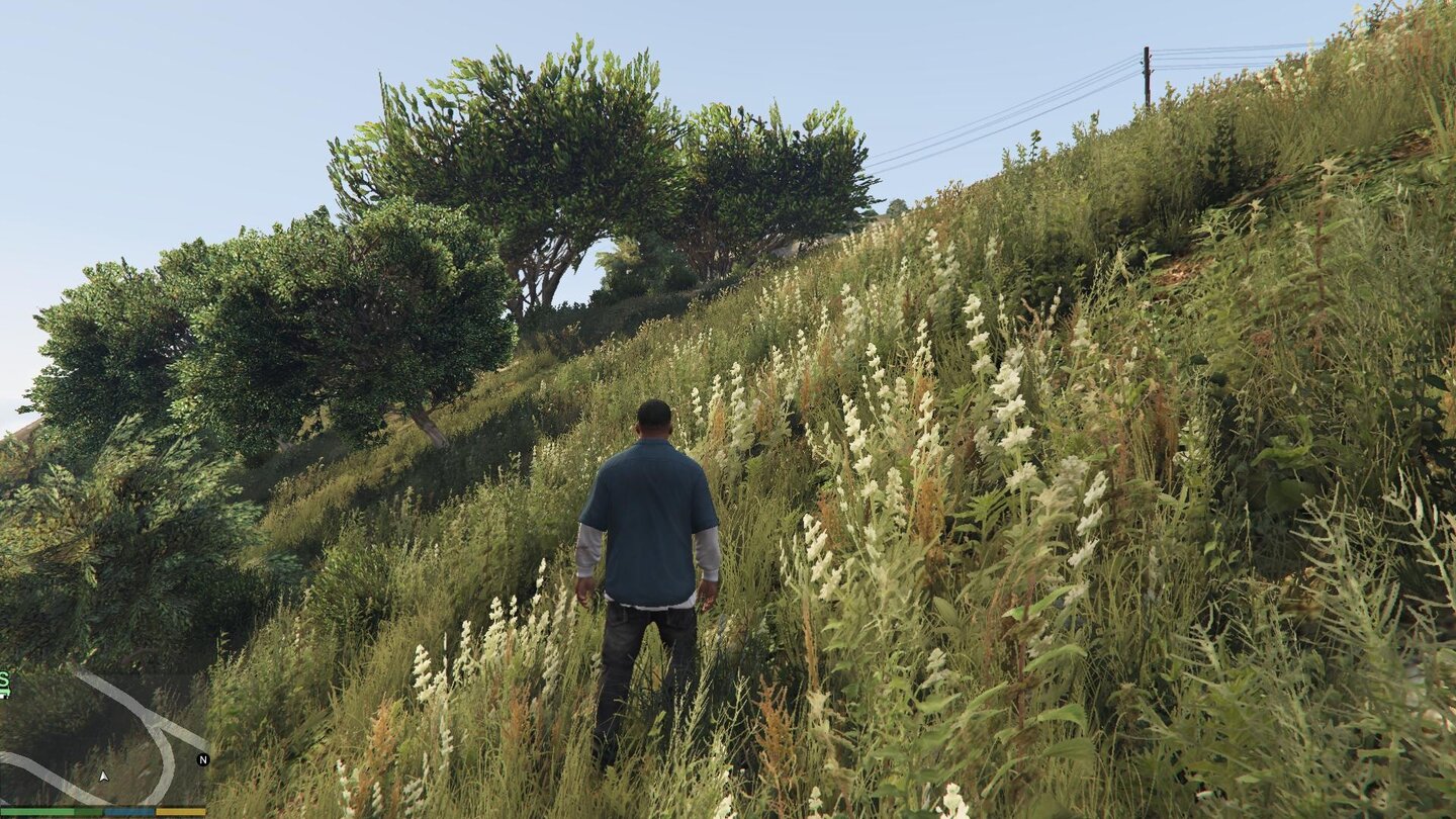 GTA 5 - Vegetation