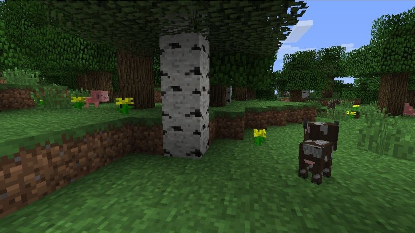 MinecraftScreenshots aus der Version 1.9 von Minecraft.