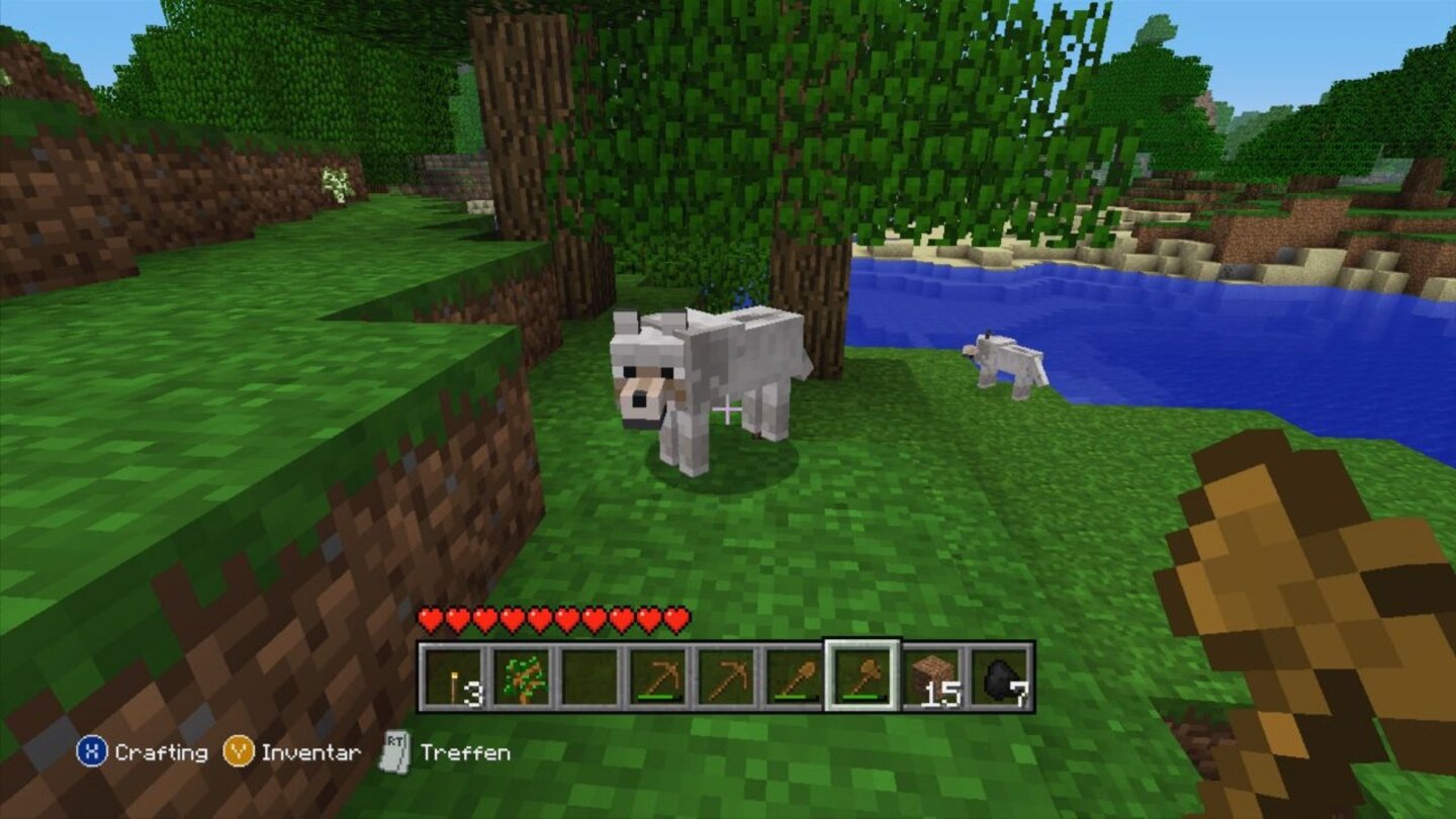 Minecraft: Xbox 360 EditionWer Knochen von Skeletten erbeutet, kann damit die wilden Wölfe zähmen, die fortan für einen kämpfen.