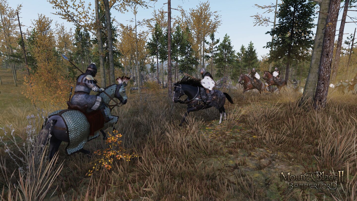 Mount & Blade 2: Bannerlord