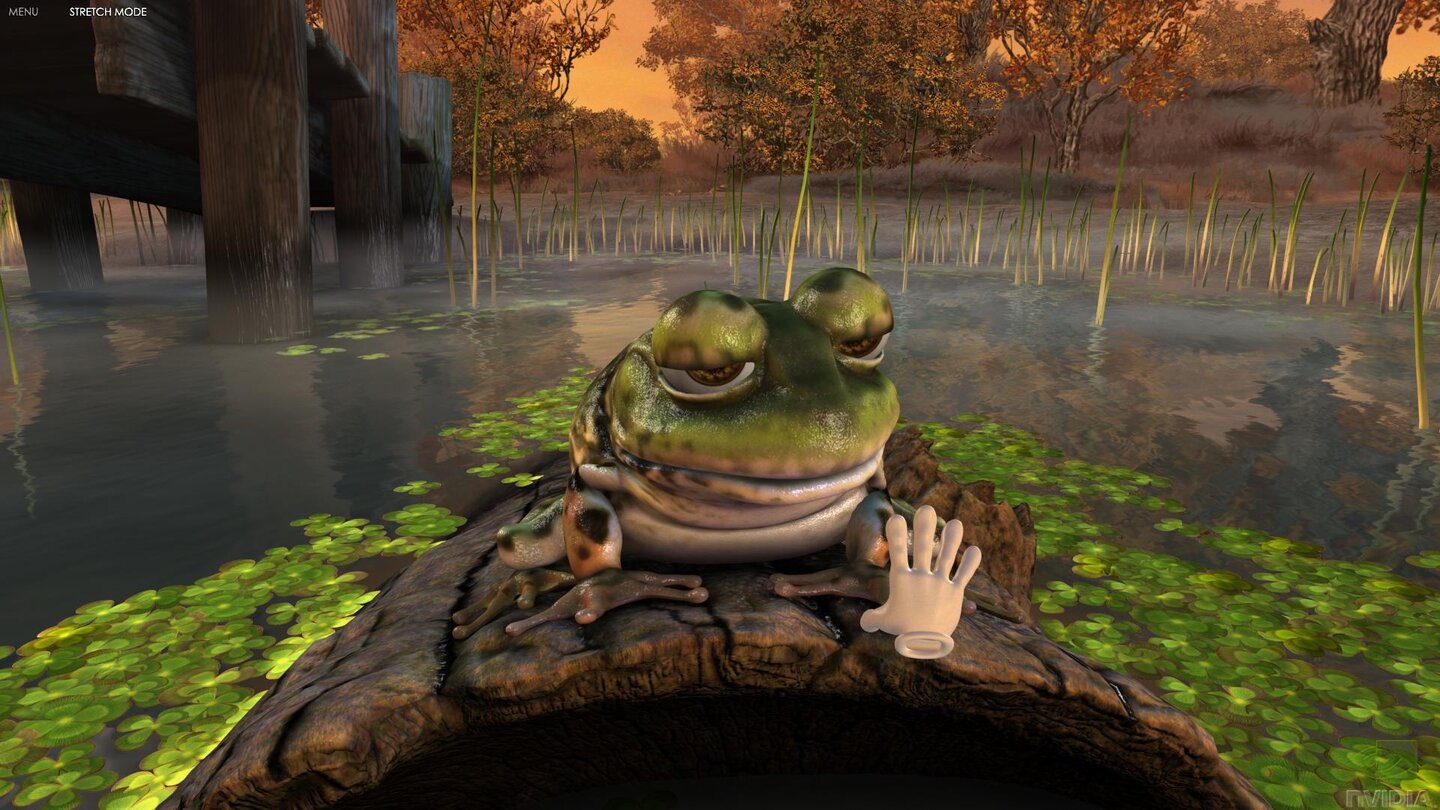 Nvidia Demo - Froggy