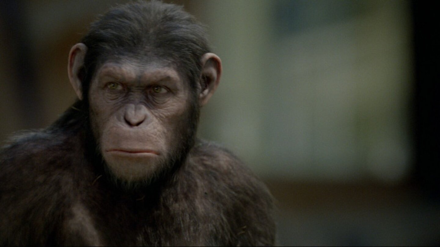 Planet der Affen: PrevolutionFür die Umsetzung des Films wurde kein einziger echter Affe verwendet - sämtliche Geschöpfe entspringen der Effektschmiede WETA (Herr der Ringe).
