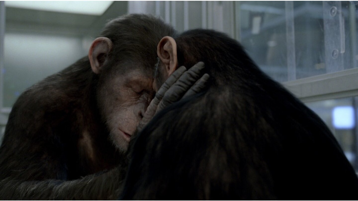 Planet der Affen: PrevolutionDer Film ist in den USA bereits so erfolgreich gelaufen, dass eine Fortsetzung höchstwahrscheinlich ist. Regisseur Rupert Wyatt und Andy Serkis wollen auch im zweiten Teil wieder mit dabei sein.