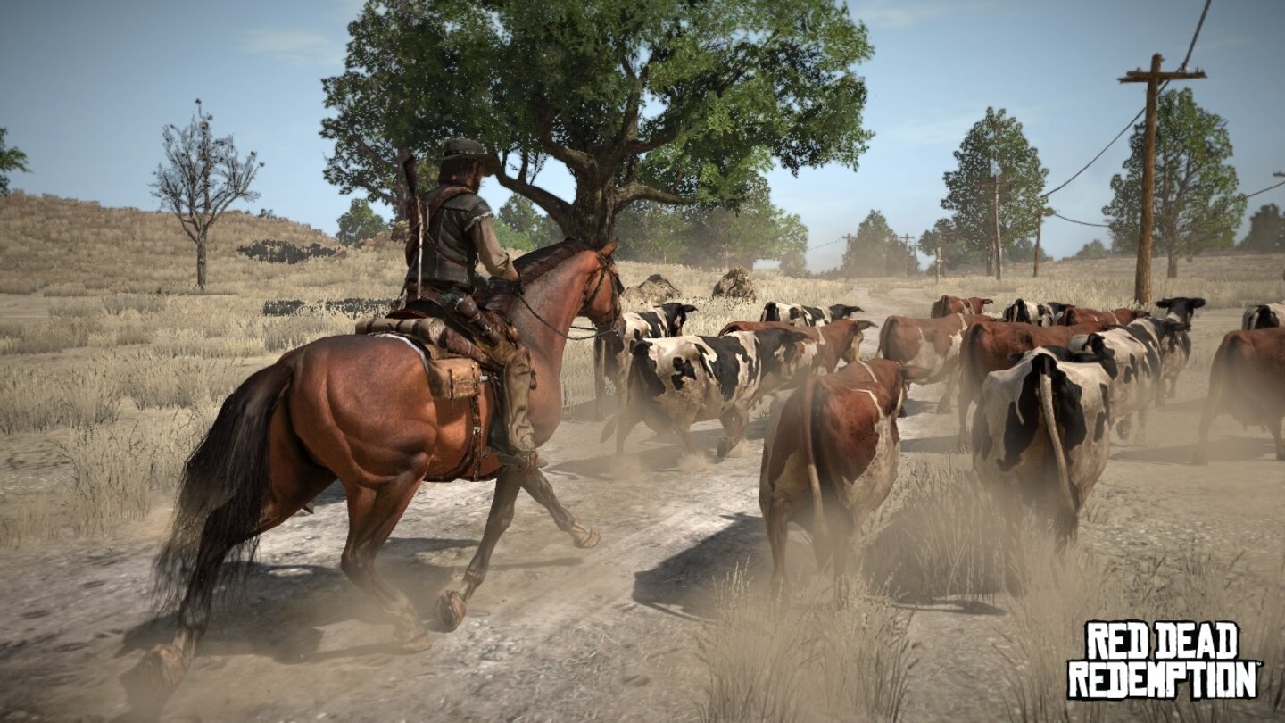 Red Dead Redemption [360, PS3]