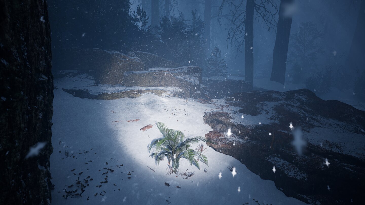 Redwood Forest Screenshots aus der wunderschönen Unreal Engine Demo