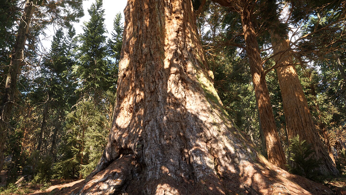 Redwood Forest Screenshots aus der wunderschönen Unreal Engine Demo