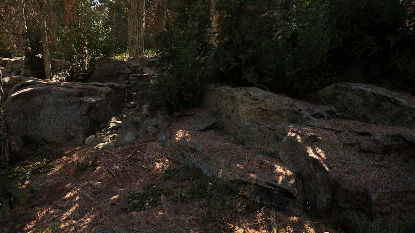 Redwood Forest Screenshots aus der wunderschönen Unreal Engine Demo