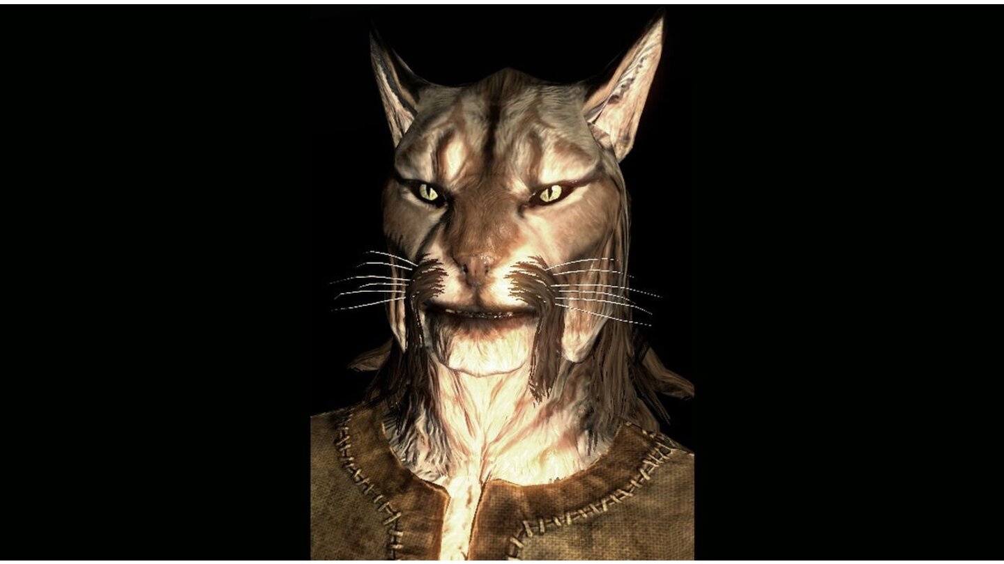 Skyrim: GesichtsvariationenKhajit