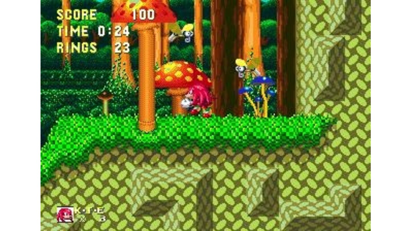 Knuckles is also a playable character.