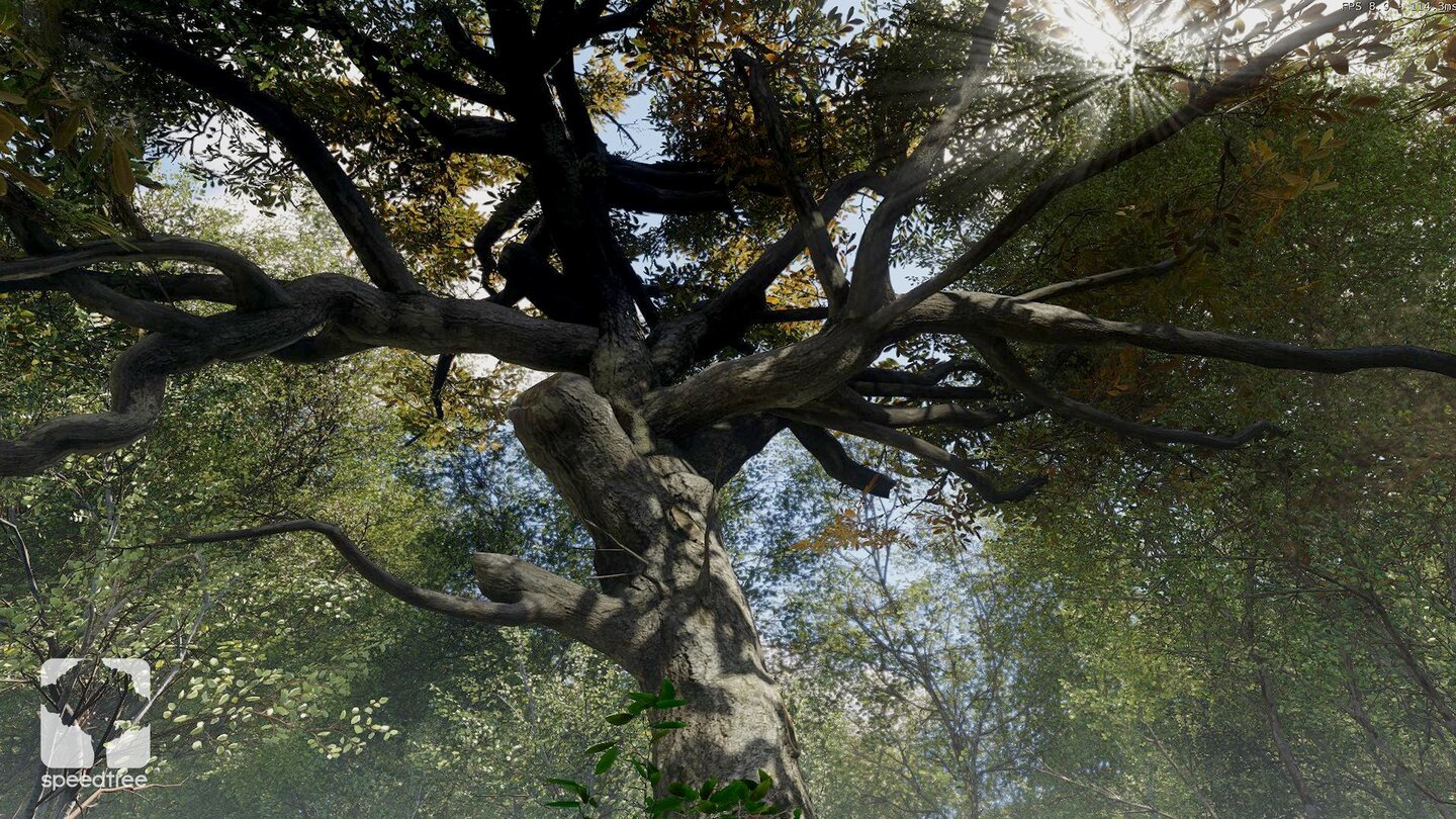 SpeedTree 8