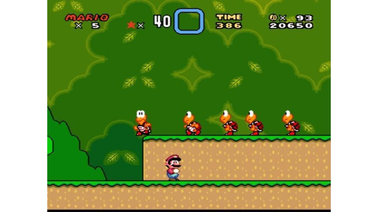 A typical level with lots of Koopas hanging around