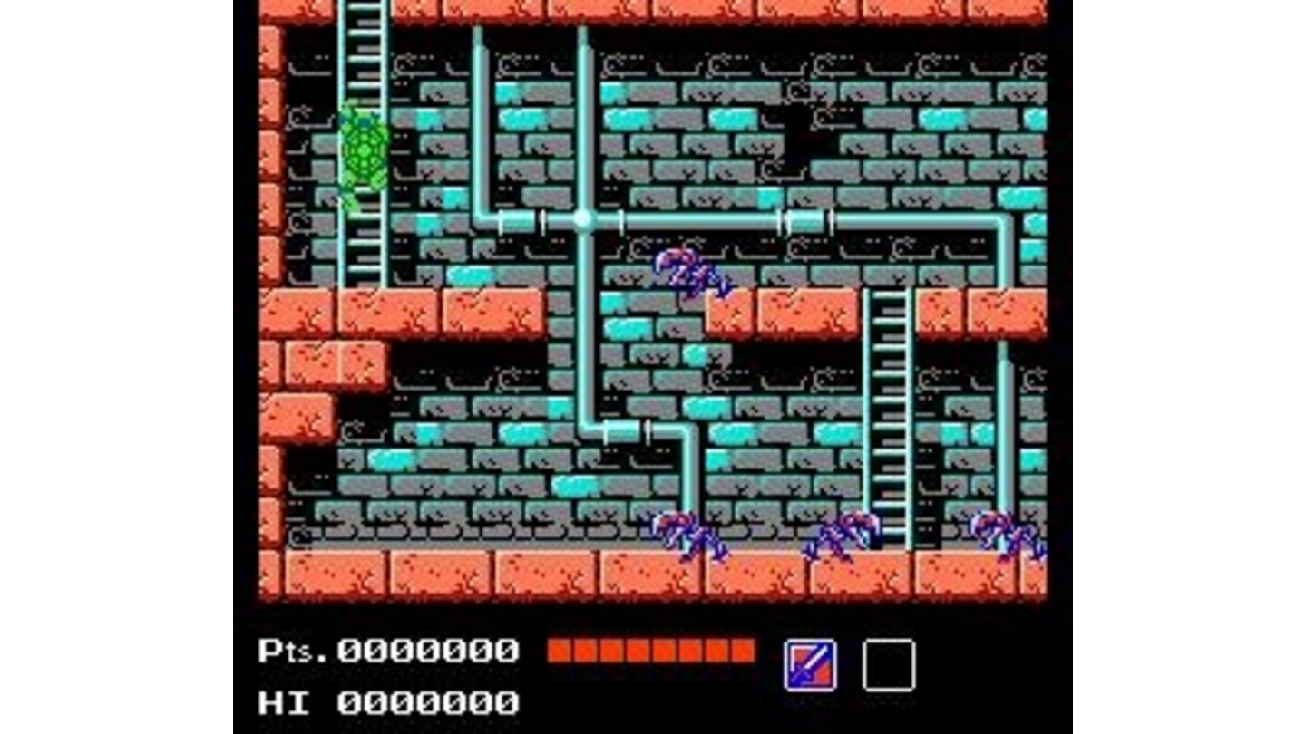 The sewers. Turtles can also climb stairs.