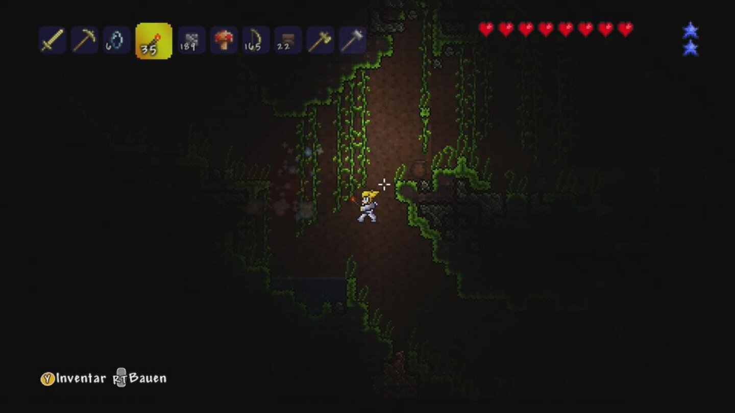 Terraria (PSN/XBLA)Es gibt viele unterschiedliche Umgebungen in den zufallsgenerierten Welten. Hier sind wir beispielsweise im Dschungel.