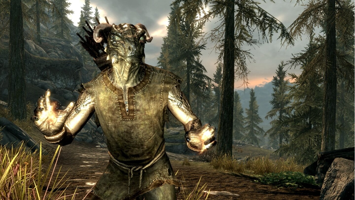 The Elder Scrolls 5: Skyrim